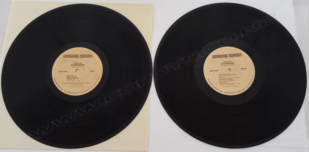 Elvin Bishop, Raisin' Hell (Double album) Image 1++